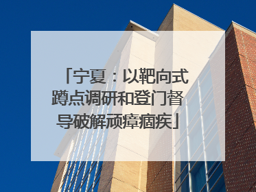 宁夏：以靶向式蹲点调研和登门督导破解顽瘴痼疾