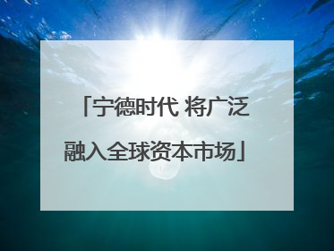 宁德时代 将广泛融入全球资本市场