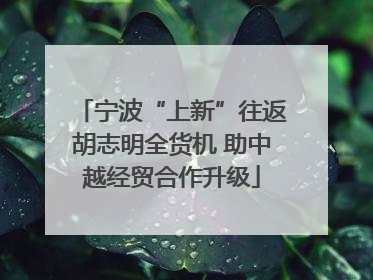 宁波“上新”往返胡志明全货机 助中越经贸合作升级