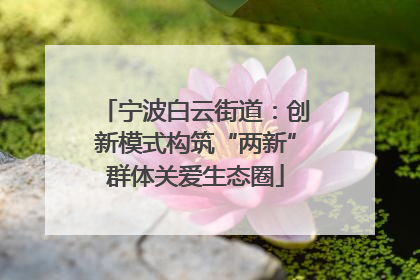 宁波白云街道：创新模式构筑“两新”群体关爱生态圈