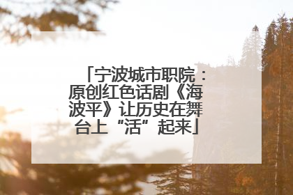 宁波城市职院：原创红色话剧《海波平》让历史在舞台上“活”起来