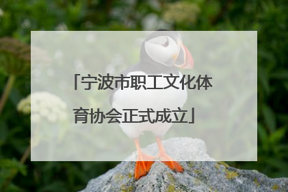 宁波市职工文化体育协会正式成立