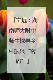 宁远：湖南师大附中师生探寻乡村振兴“密码”