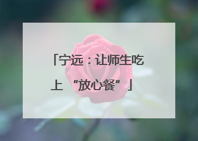 宁远：让师生吃上 “放心餐”