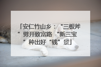 安仁竹山乡：“三板斧”劈开致富路 “新三宝”种出好“钱”景