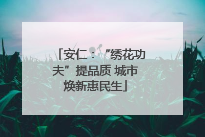 安仁：“绣花功夫”提品质 城市焕新惠民生