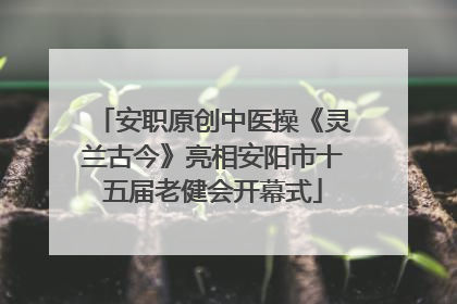 安职原创中医操《灵兰古今》亮相安阳市十五届老健会开幕式