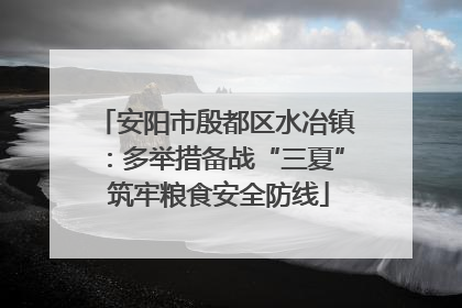 安阳市殷都区水冶镇：多举措备战“三夏” 筑牢粮食安全防线