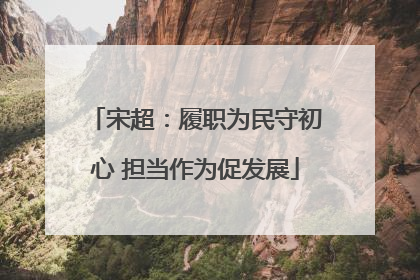 宋超：履职为民守初心 担当作为促发展