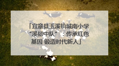 宜章县玉溪镇城南小学“溪韧中队”：传承红色基因 锻造时代新人