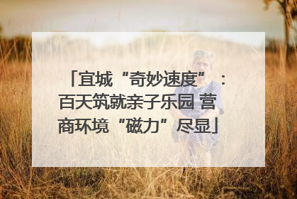 宜城“奇妙速度”：百天筑就亲子乐园 营商环境“磁力”尽显