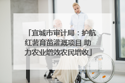 宜城市审计局：护航红薯育苗灌溉项目 助力农业增效农民增收