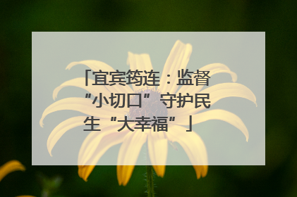 宜宾筠连：监督“小切口”守护民生“大幸福”