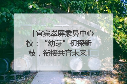 宜宾翠屏象鼻中心校：“幼芽”初探新枝，衔接共育未来