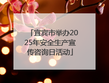宜宾市举办2025年安全生产宣传咨询日活动
