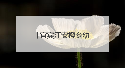 宜宾江安橙乡幼儿园开展“体验盲人生活，感受爱与尊重”教育活动