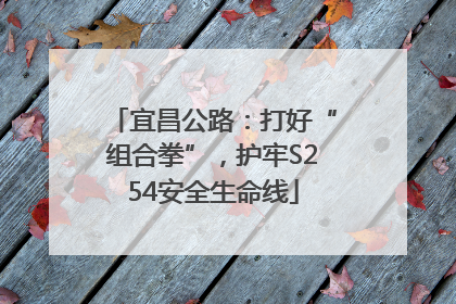 宜昌公路：打好“组合拳”，护牢S254安全生命线
