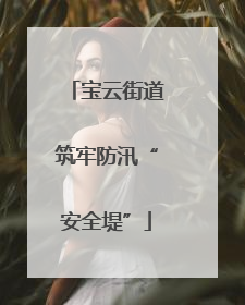 宝云街道筑牢防汛“安全堤”