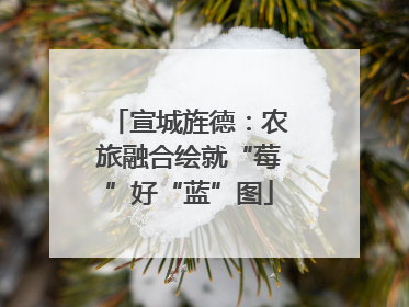 宣城旌德：农旅融合绘就“莓”好“蓝”图