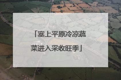 塞上平原冷凉蔬菜进入采收旺季