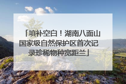 填补空白！湖南八面山国家级自然保护区首次记录珍稀物种宽距兰