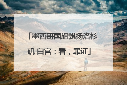 墨西哥国旗飘扬洛杉矶 白宫：看，罪证
