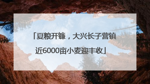 夏粮开镰，大兴长子营镇近6000亩小麦迎丰收