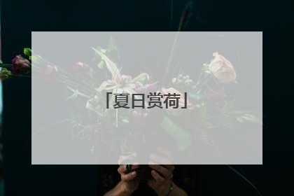 夏日赏荷