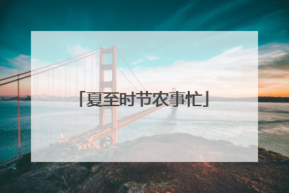 夏至时节农事忙