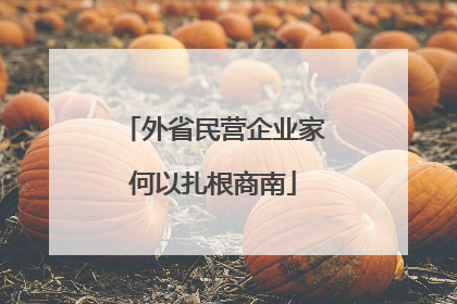 外省民营企业家何以扎根商南