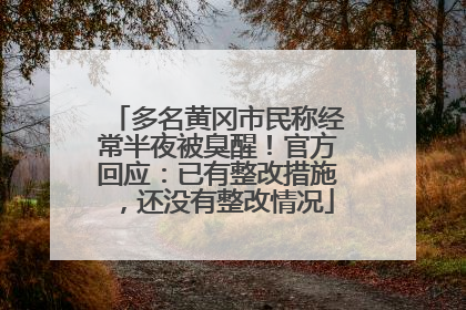 多名黄冈市民称经常半夜被臭醒！官方回应：已有整改措施，还没有整改情况