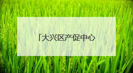 大兴区产促中心举办 “新国门”人才现代农业科技体验活动