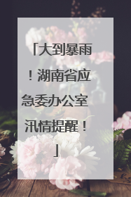 大到暴雨！湖南省应急委办公室汛情提醒！