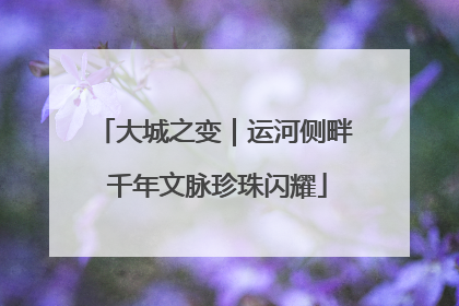 大城之变｜运河侧畔 千年文脉珍珠闪耀
