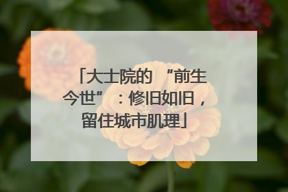 大士院的 “前生今世”：修旧如旧，留住城市肌理