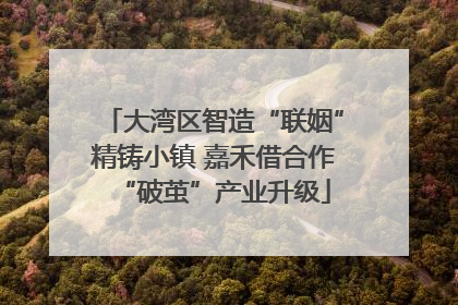 大湾区智造“联姻”精铸小镇 嘉禾借合作“破茧”产业升级