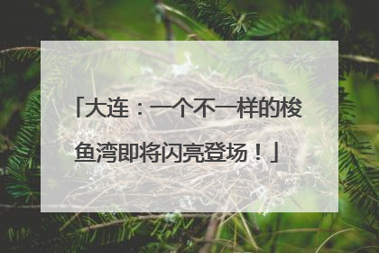 大连：一个不一样的梭鱼湾即将闪亮登场！