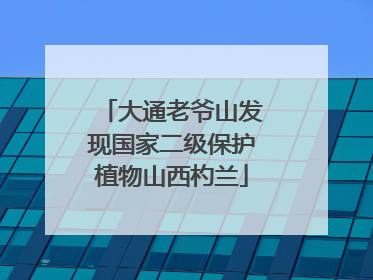 大通老爷山发现国家二级保护植物山西杓兰