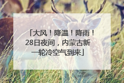 大风！降温！降雨！28日夜间，内蒙古新一轮冷空气到来
