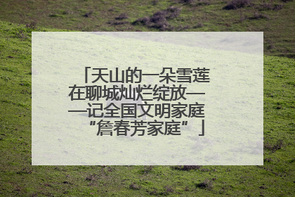 天山的一朵雪莲在聊城灿烂绽放——记全国文明家庭“詹春芳家庭”