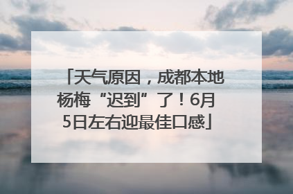 天气原因，成都本地杨梅“迟到”了！6月5日左右迎最佳口感