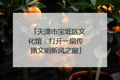 天津市宝坻区文化馆：打开一扇传播文明新风之窗