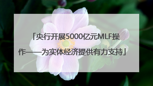 央行开展5000亿元MLF操作——为实体经济提供有力支持