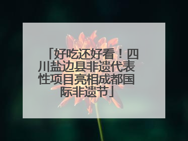 好吃还好看！四川盐边县非遗代表性项目亮相成都国际非遗节