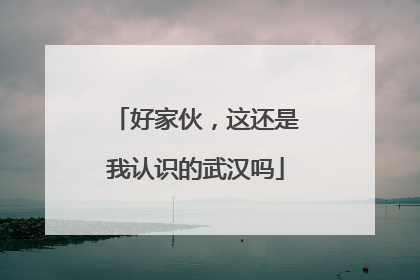 好家伙，这还是我认识的武汉吗