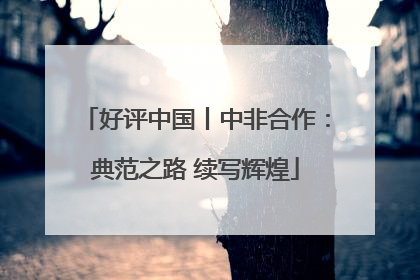 好评中国丨中非合作：典范之路 续写辉煌