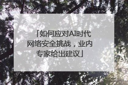 如何应对AI时代网络安全挑战，业内专家给出建议