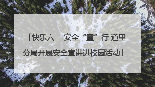 快乐六一 安全“童”行 道里分局开展安全宣讲进校园活动