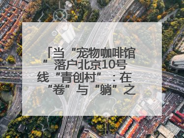 当“宠物咖啡馆”落户北京10号线“青创村”：在“卷”与“躺”之间，他们找到了第三种生活公式