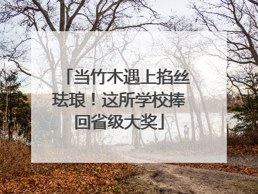 当竹木遇上掐丝珐琅！这所学校捧回省级大奖